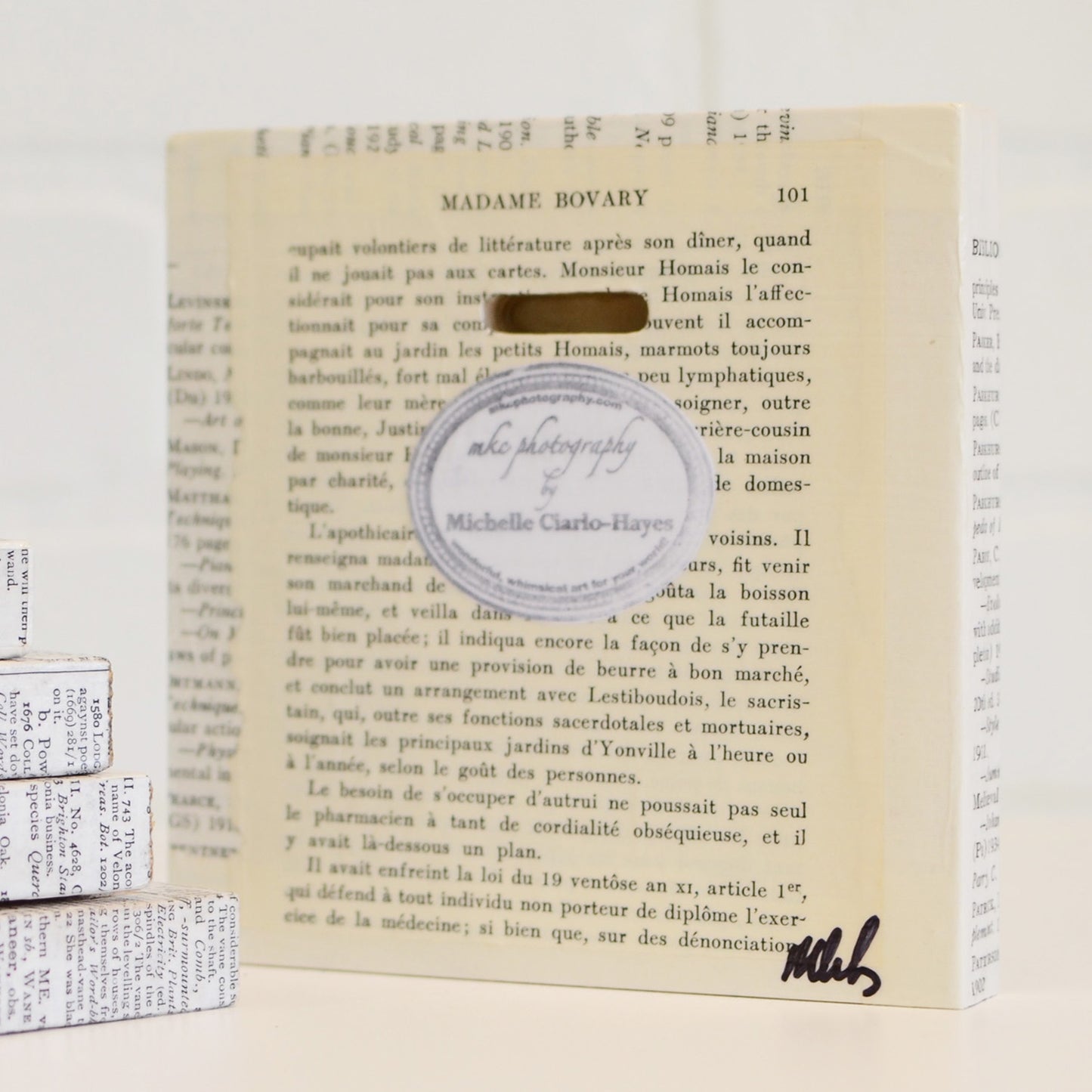 Daytime Flight 5x5 Art Block